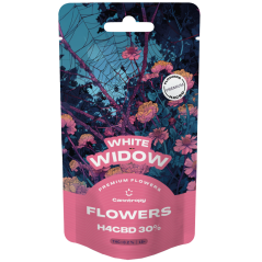 Canntropy H4CBD kwiat White Widow 30%, 1 g - 100 g