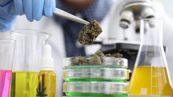 Τι είναι το Ice O Lator ή το Bubble hash;