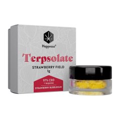 Happease - Ekstrakts Strawberry Field Terpsolate, 97% CBD, 1 g
