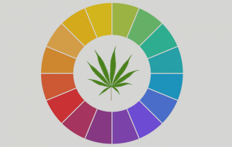 Terpeny v konopí setém – od rostliny k lidem