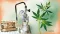 A Guide to The most common methods for extracting compounds from cannabis, using solvents and without them