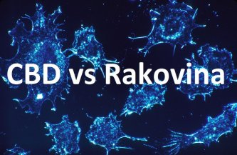 Role CBD při léčbě rakoviny