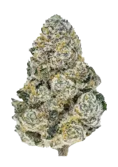 Fast Buds Θηλυκοποιημένοι σπόροι κάνναβης Lemonpaya