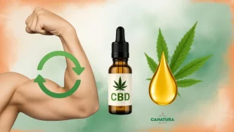 On the left, a bicep with a recovery icon; in the middle, CBD oil; on the right, a drop of CBD oil and a hemp leaf.