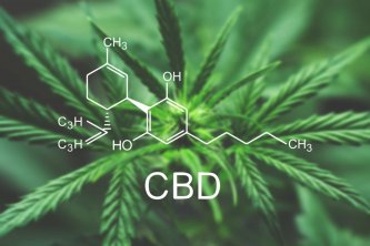 Prikaz besedila CBD in molekularne strukture C21H30O2 na ozadju rastline konoplje