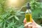 Průvodce užíváním CBD: Dávkování, jak užívat, ideální poměr CBD a THC