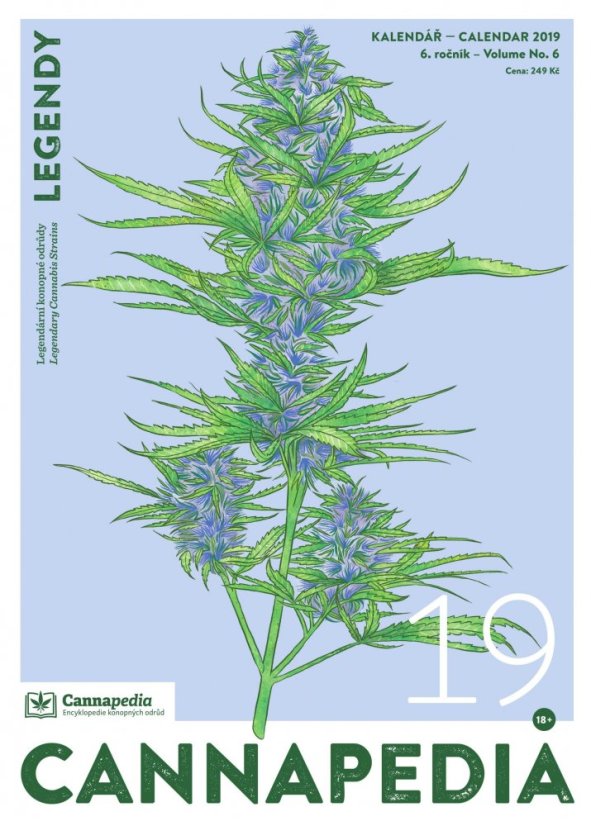 Kalendář 2019 - Legendy + 10x Jack Herer od Green House Seeds