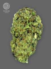 The Bulldog Seeds TB Sour Diesel Regular, 3 and 5 pcs