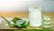 Recept - Uklidňující Aloe gel