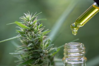 Vyvoláva veľké množstvo CBD rovnaké stavy ako THC?