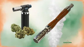 Testbericht: Hat der DynaVap The WoodWynd wirklich den geschmackvollsten Dampf?