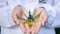 Can you build up a tolerance to CBD?