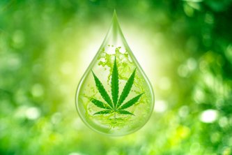 Nano CBD - Pseudoveda alebo inovácia?