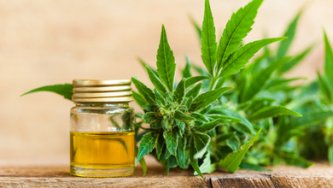Hanföl vs. CBD-Öl - gibt es einen Unterschied?