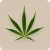 HHCA
