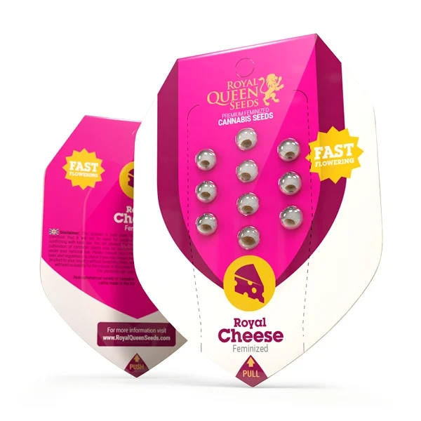 Royal Queen Seeds Cannabis Seeds Royal Cheese - Fast Feminized