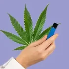 Cannabinoids