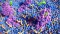 Microscopic image of molecules of the endocannabinoid system that interact with the cell surface, showing the complexity of cell signalling associated with this system