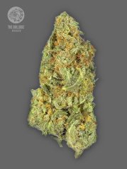 The Bulldog Seeds TB Gorilla Auto, 3 and 5 pcs