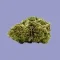 Fjuri tas-CBD
