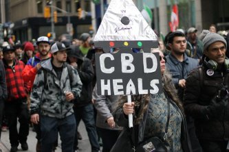 Mýty o CBD aneb nevěřte všemu, co se říká