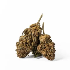 Euphoria CBD Weed Avicenna, 100 g