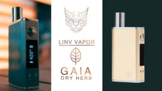 Linx Gaia Vaporizer Testbericht