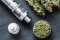 Introduction to vaporization – All you should know about the vaporization of  plants