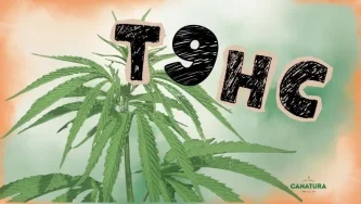 Che cos’è il T9HC? Una pianta di cannabis e la scritta “T9HC”, con il logo Canatura in basso a destra
