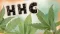 What is HHC? Text: HHC and cannabis; Canatura logo bottom right