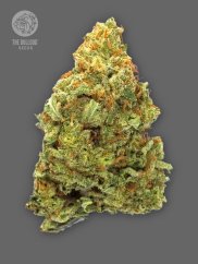 The Bulldog Seeds TB Lemon Haze Auto, 3 and 5 pcs