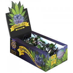 Cannabis Blueberry Haze Lollies – Display Carton (70 Lollies), 1260 g