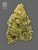 The Bulldog Seeds TB Lemon Haze Auto, 3 u 5 pcs