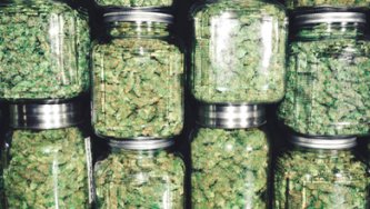 Die beste Aufbewahrungsmethode von CBD Hanfblüten