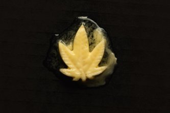 Konopljino maslo - recept, učinki, odmerjanje