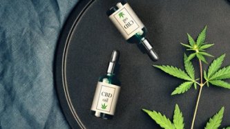 CBD olej – konopný alebo kokosový, čistý alebo s príchuťou. Ako si správne vybrať?