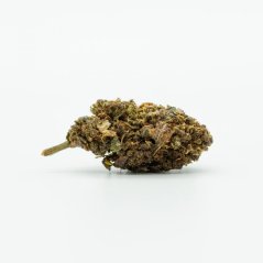 HHC Flower Cheese 50%, ( 1g - 1000g )