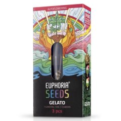Euphoria Seeds Gelato Autoflower