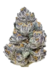 Fast Buds Θηλυκοποιημένοι σπόροι κάνναβης Rainbow Melon