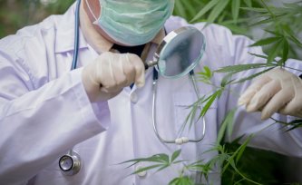 Kaj je THCH? Proizvodnja, učinki, tveganja in primerjava z drugimi kanabinoidi