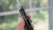 Hand holding Arizer Air II