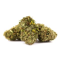 Euphoria T9HC Watermelon OG žiedai didmeniniu pavidalu, 100 g