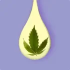 Liquidi al CBD