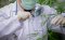 A man researches the cannabis plant cannabinoid THCH