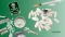 New synthetic drugs in Europe – risks