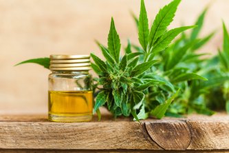 Konopný olej vs. CBD olej - je v tom rozdiel?