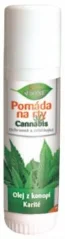 Bione Cannabis Lippenbalsem, 17 ml