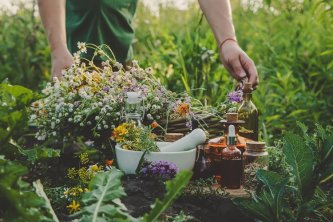 Weitere Arten von Kräutern zum Verdampfen Weitere Arten von Kräutern zum Verdampfen