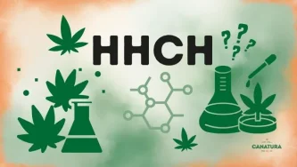 Kanabinoid HHCH – njegovi učinki in tveganja