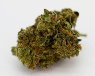Průvodce nákupem CBD – Jak a kde koupit ten správný CBD olej